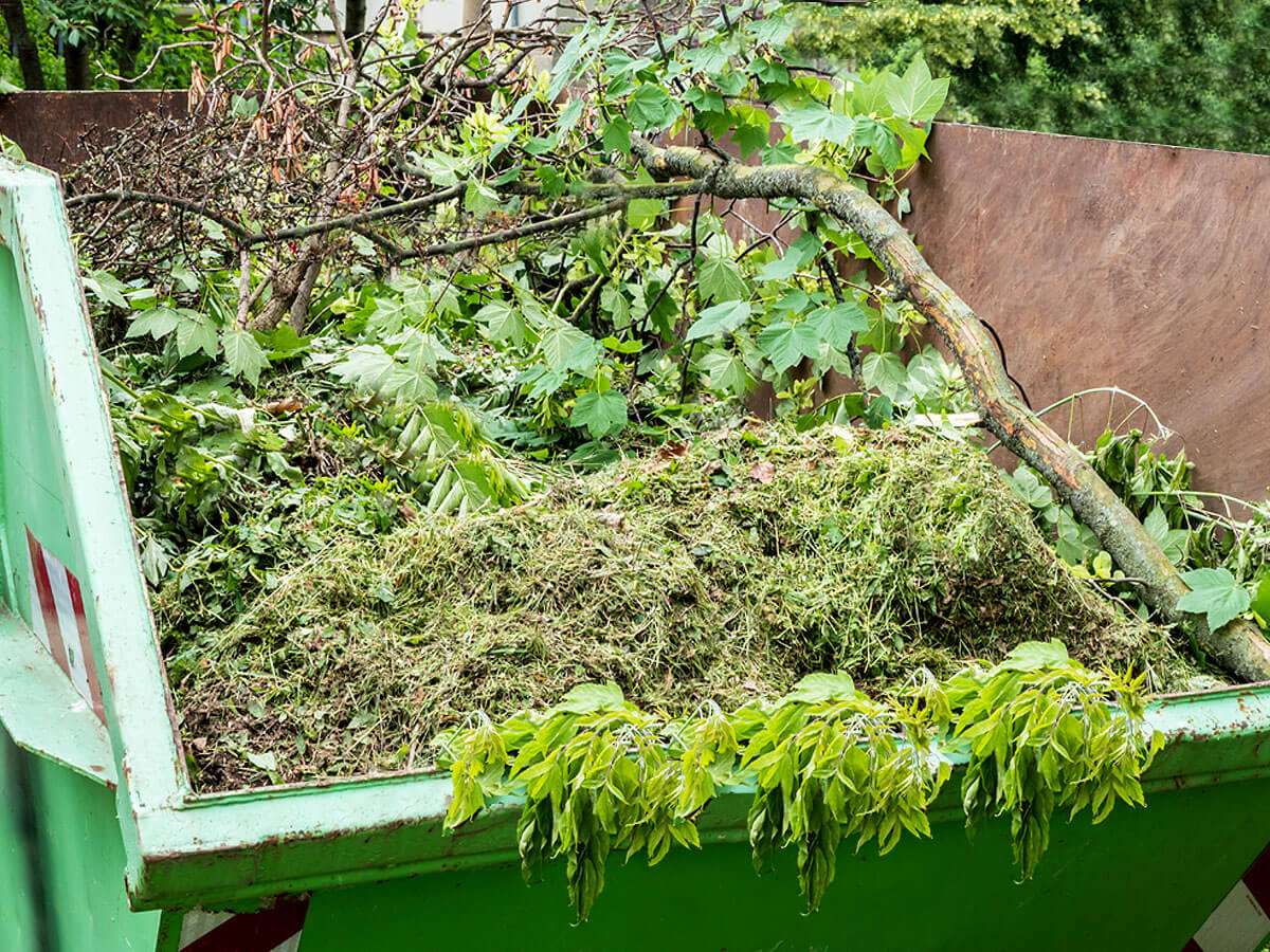 How to Choose the Best Green Waste Removal Company Near Me