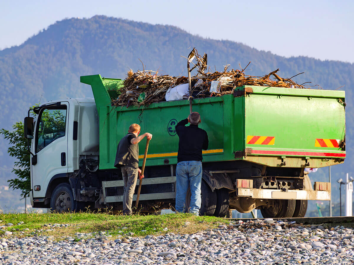 green waste removal Sydney