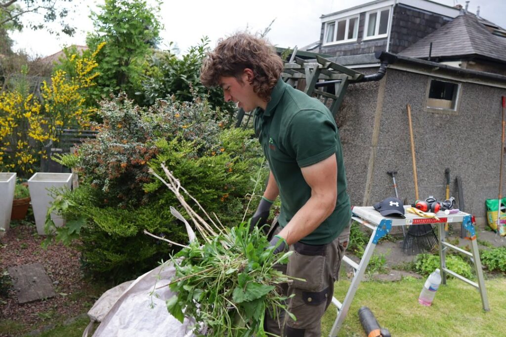 green waste removal Sydney