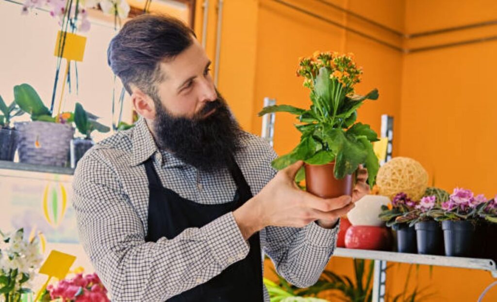 Balgowlah Heights Florist