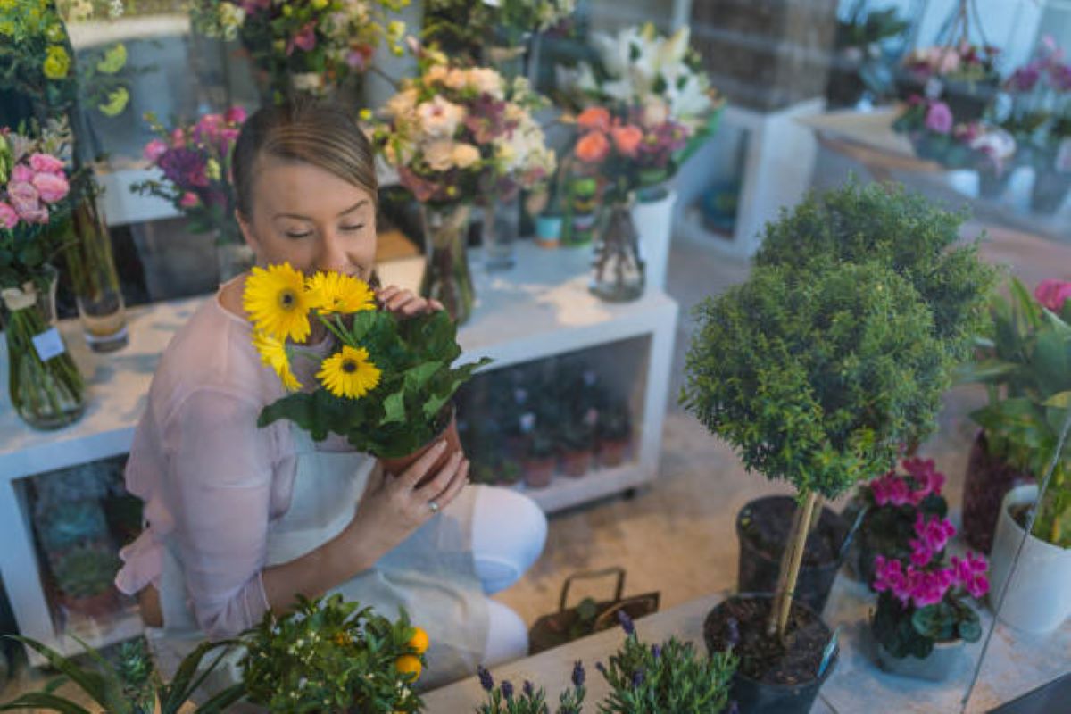 St Leonards Flowers: Gorgeous Floral Bouquets for Any Event