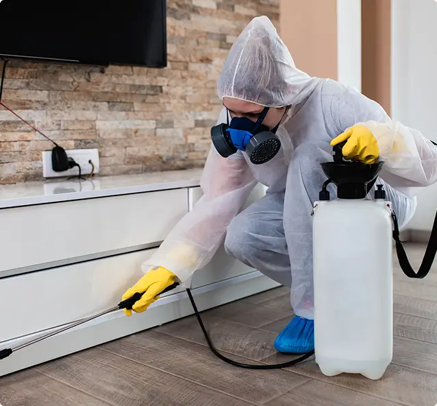 Termite Control Services